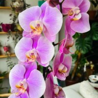 bilgehan980 profil fotoğrafı