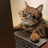hilalert profil fotoğrafı