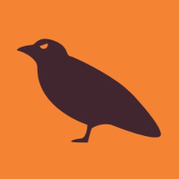 rainalo profil fotoğrafı