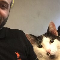 cembandini profil fotoğrafı