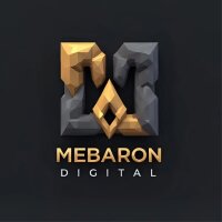 barisaltinbas profil fotoğrafı
