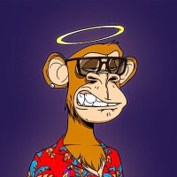 coindeveloper profil fotoğrafı