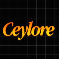 ceyloreditor profil fotoğrafı