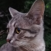 minaster profil fotoğrafı