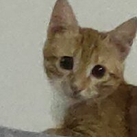 aliyilmaz2544 profil fotoğrafı