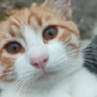 ayinerum profil fotoğrafı