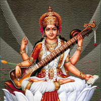 saraswati profil fotoğrafı