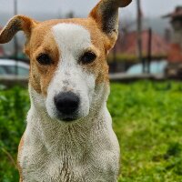 uzmanhizmet profil fotoğrafı