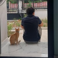 hasankerembedir profil fotoğrafı