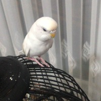 mazlumenesyilmaz profil fotoğrafı