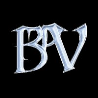 berartvision profil fotoğrafı