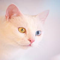 erendemir34 profil fotoğrafı