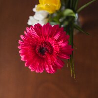 ademmetekoc profil fotoğrafı