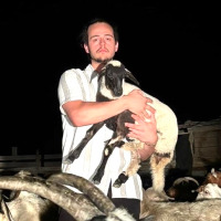 chaosfamos profil fotoğrafı