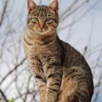 zeynepedaakar profil fotoğrafı