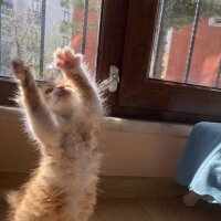 denizz07 profil fotoğrafı