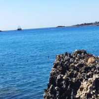hasansylemezz profil fotoğrafı