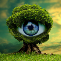 alibayatturk profil fotoğrafı