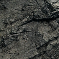 seymaayirtir profil fotoğrafı
