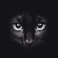 furkan_celik profil fotoğrafı