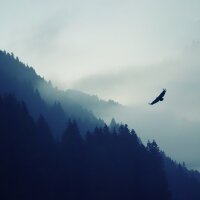 karvoni profil fotoğrafı