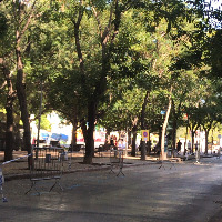 akademikve profil fotoğrafı