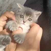 emygraphicdesign profil fotoğrafı