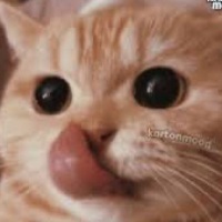 allanooon profil fotoğrafı