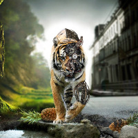 asmkjc profil fotoğrafı