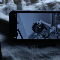 kasikcienes profil fotoğrafı