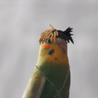 xxxlimon1 profil fotoğrafı