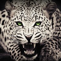 onlineonur profil fotoğrafı