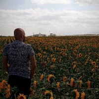alihangedik profil fotoğrafı