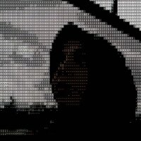 salihaderin profil fotoğrafı