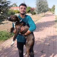 canerakbaba02 profil fotoğrafı