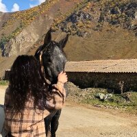 zelihabayindir profil fotoğrafı