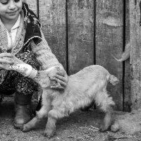 barantaskin13 profil fotoğrafı