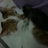 demirkandemir23 profil fotoğrafı
