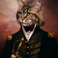 btuvrtr profil fotoğrafı