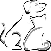 gmzagrt profil fotoğrafı