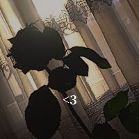 gece86 profil fotoğrafı