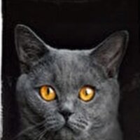 nurdo42 profil fotoğrafı