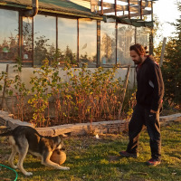 osmantalha profil fotoğrafı