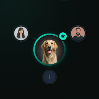 mimmar profil fotoğrafı