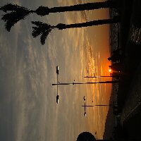 efegulsen profil fotoğrafı