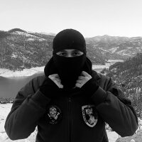 doguverse profil fotoğrafı