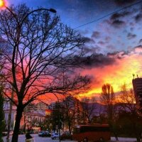 ruzgar9 profil fotoğrafı