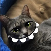 mertakgozz profil fotoğrafı