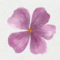 betuldesign profil fotoğrafı