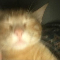 oguzhanaky profil fotoğrafı